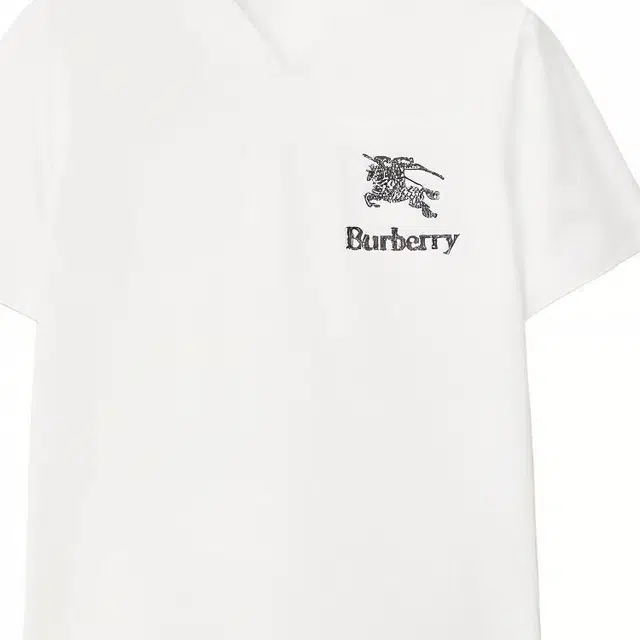 Burberry LogoVT