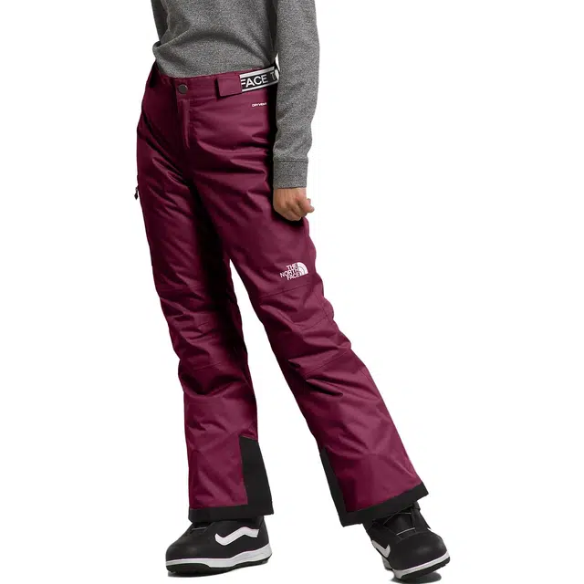 THE NORTH FACE Freedom Insulated Pants