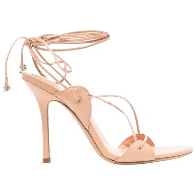 alexander wang Lucienne 10cm