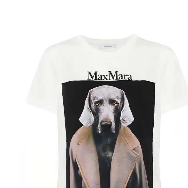 MaxMara Abetaia T