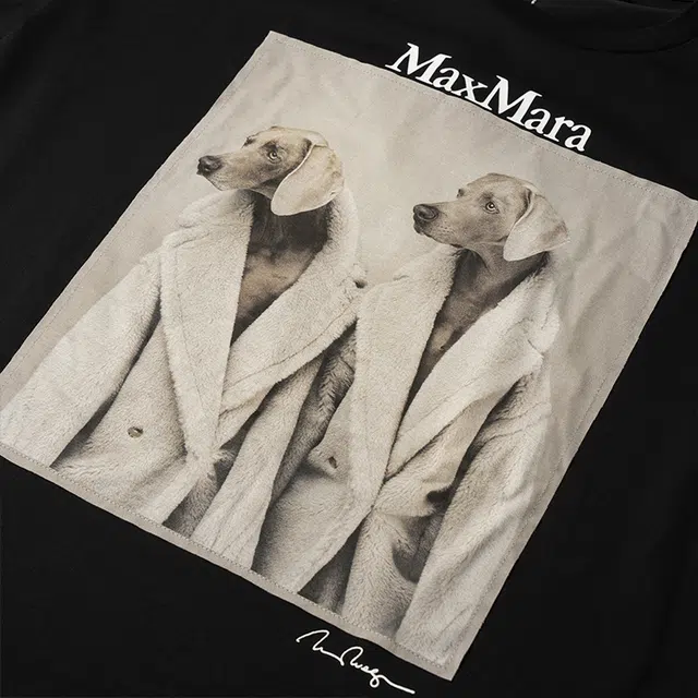 MaxMara T