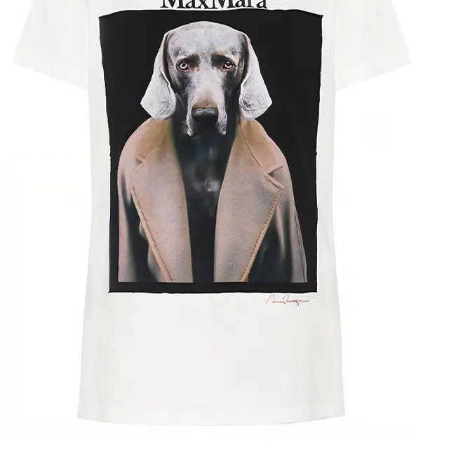 MaxMara Abetaia T