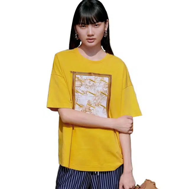 XII BASKET T