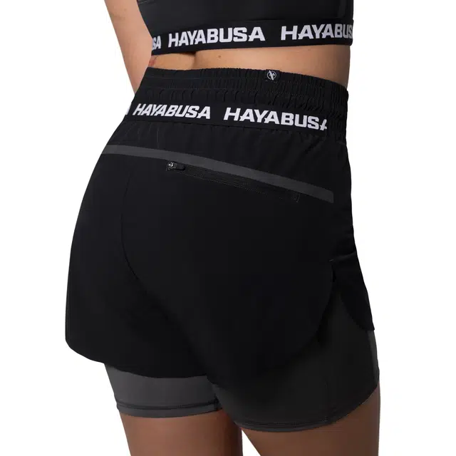 HAYABUSA