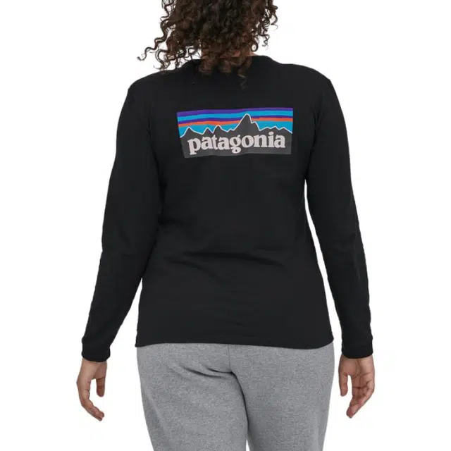 patagonia P-6 Logo Responsibili-Tee T