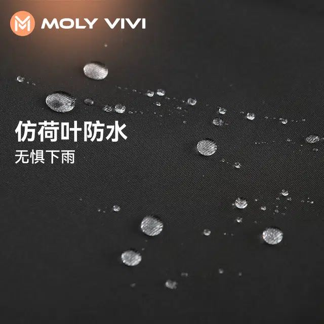 MOLY VIVI 2023