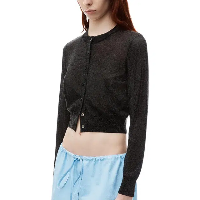 alexander wang FW24