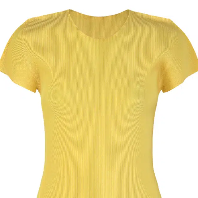 PLEATS PLEASE ISSEY MIYAKE T
