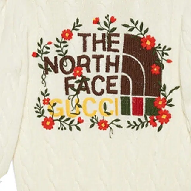 GUCCI x THE NORTH FACE FW21 Logo