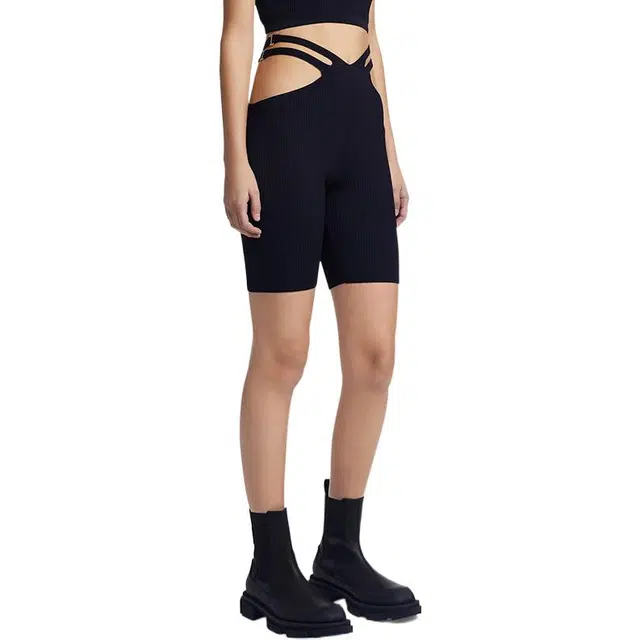 DION LEE