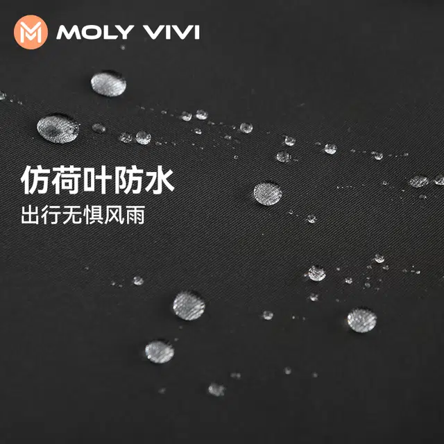 MOLY VIVI