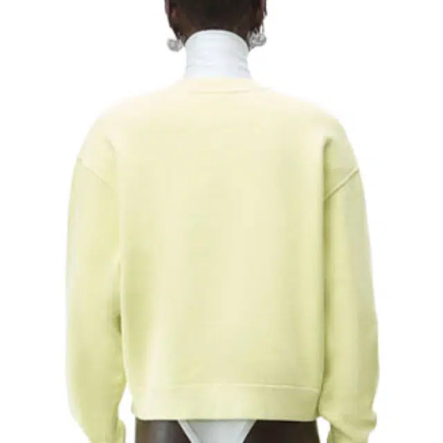 alexander wang FW21