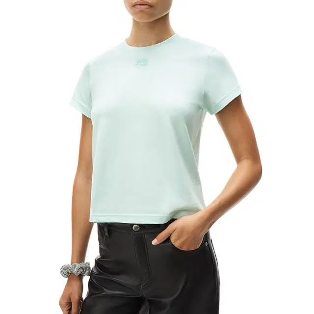 alexander wang FW24 T