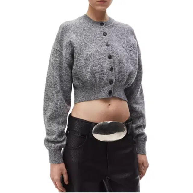 alexander wang FW24 logo