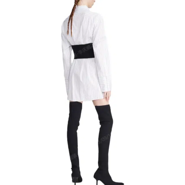 DION LEE
