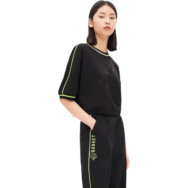 XII BASKET DNA T