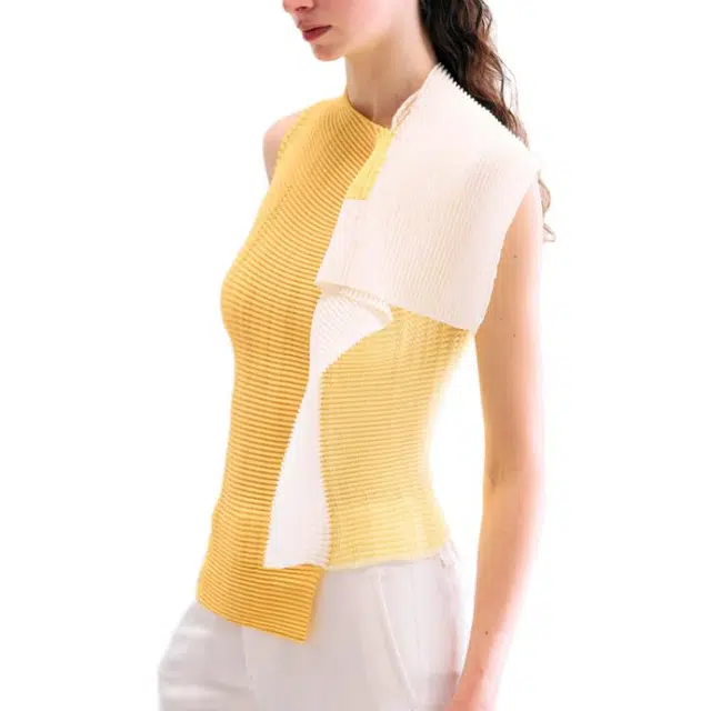 ISSEY MIYAKE Framed Pleats Top T