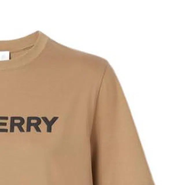Burberry FW22 T