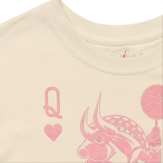 Jordan Flight T