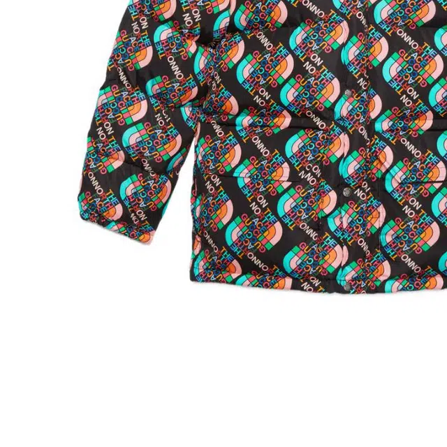 GUCCI x THE NORTH FACE FW22 Logo