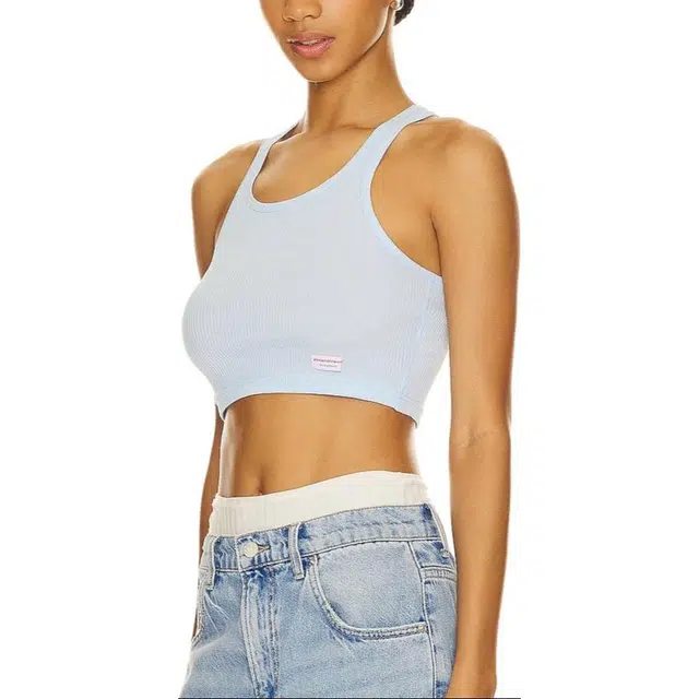 alexander wang