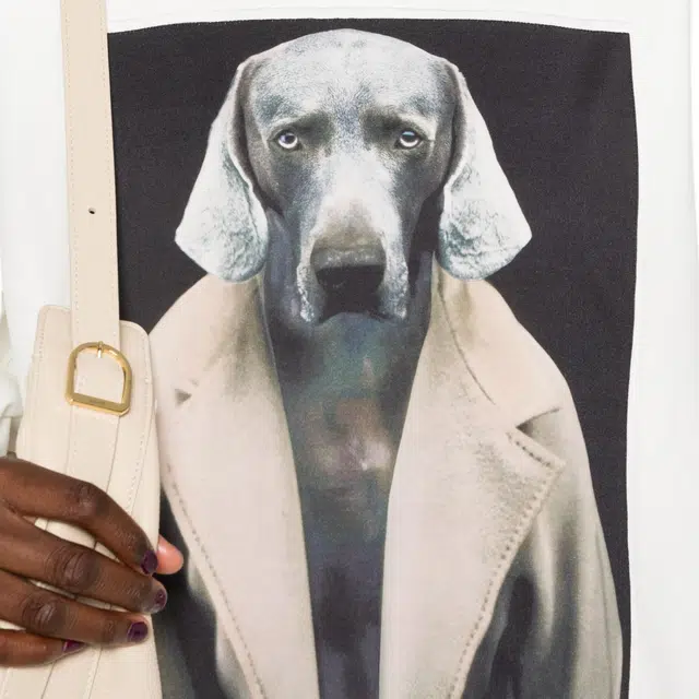 MaxMara x William Wegman Bacco Logo