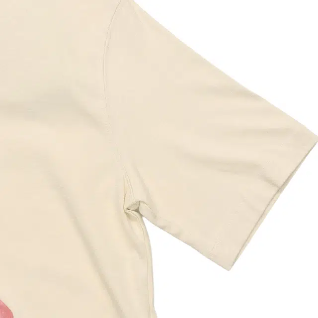 Jordan Flight T