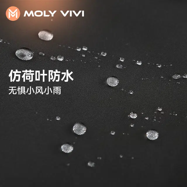 MOLY VIVI 2023