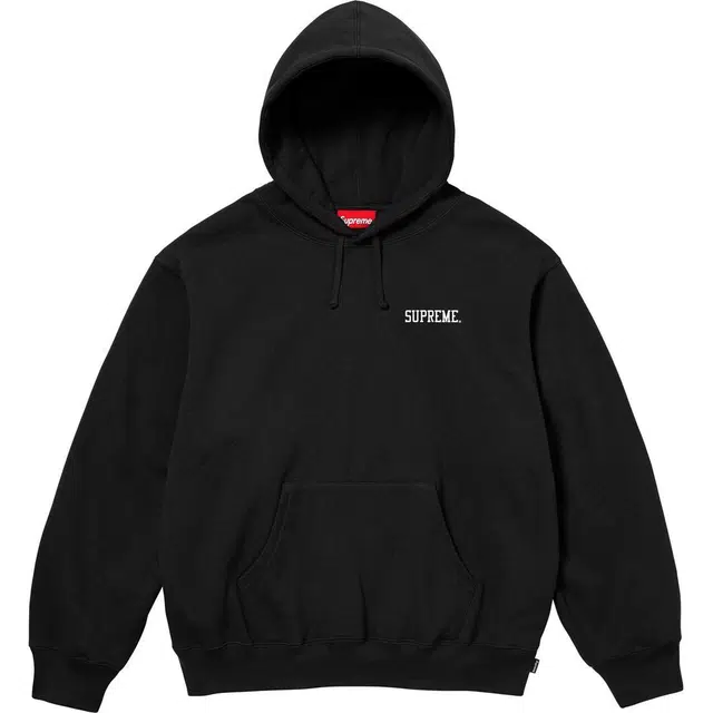 Supreme Anarchy Hooded Sweatshirt