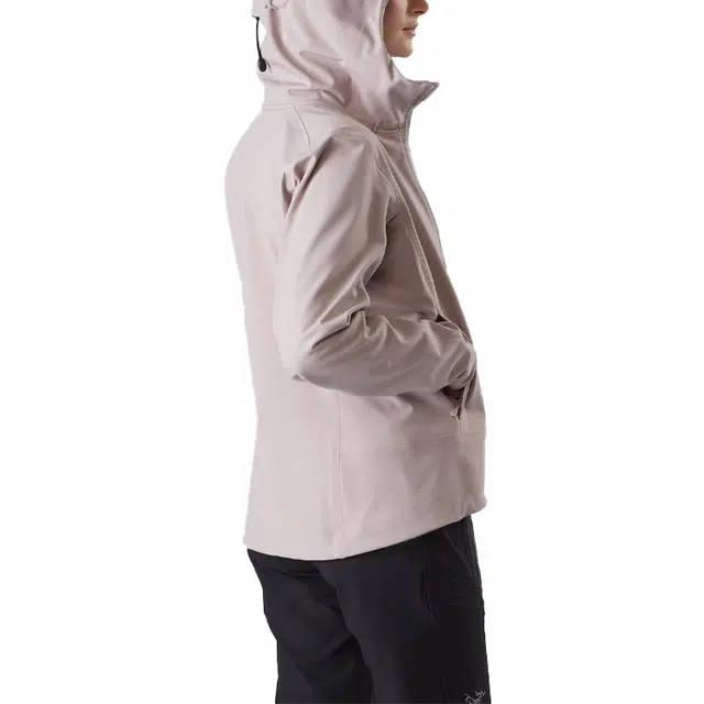 Arcteryx GAMMA Mx Hoody