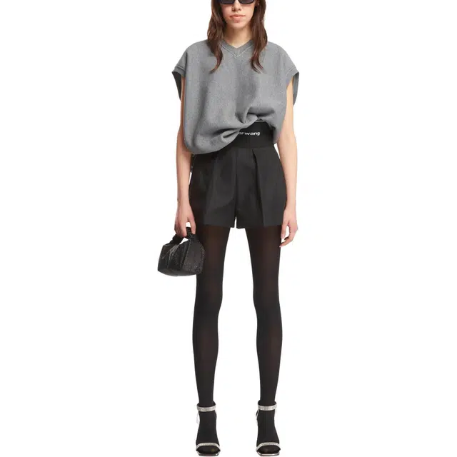alexander wang V