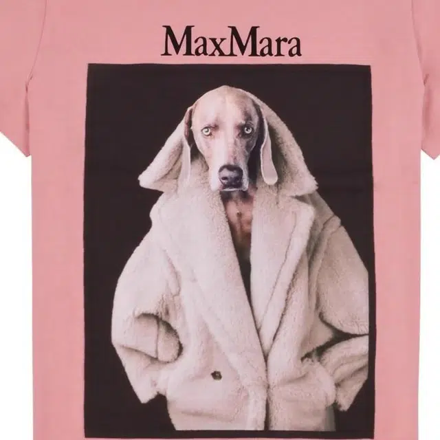 MaxMara T