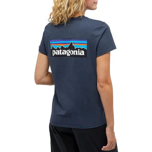 patagonia T