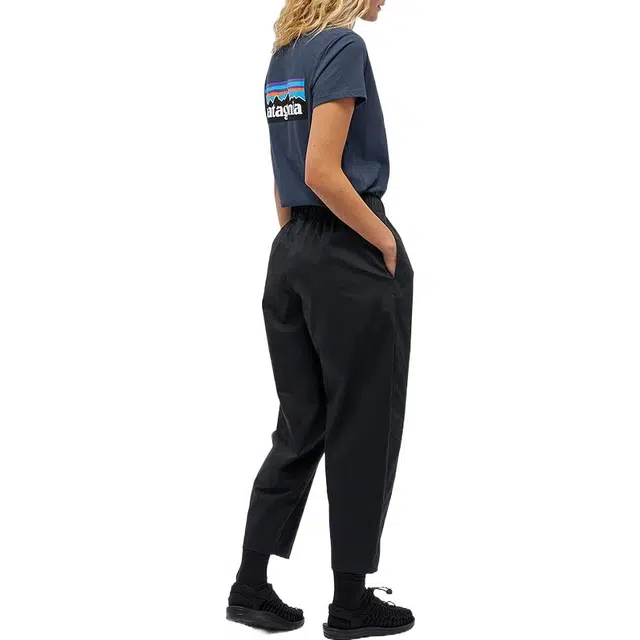 patagonia T