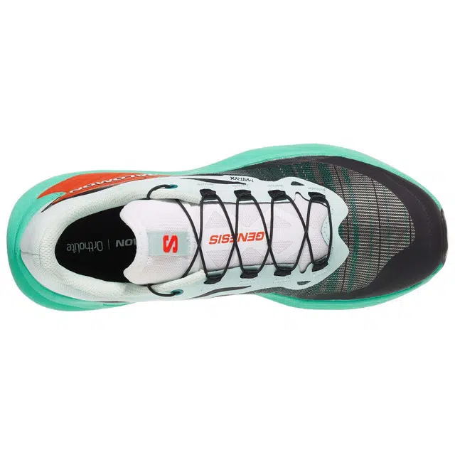 SALOMON GENESIS