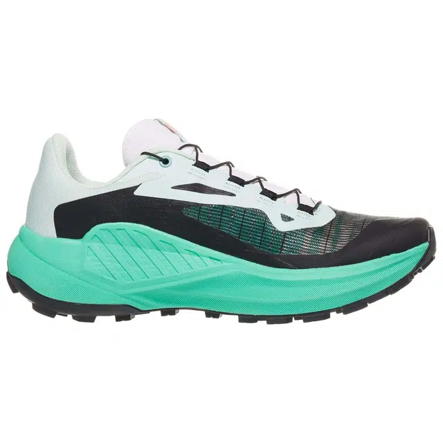 SALOMON GENESIS