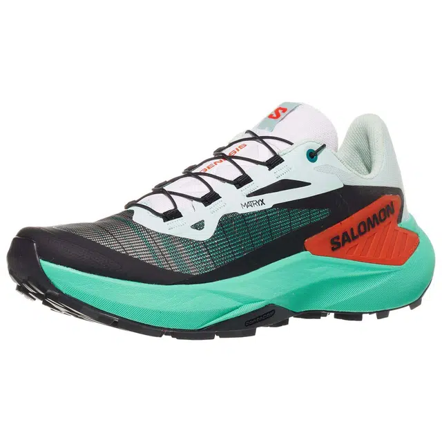 SALOMON GENESIS