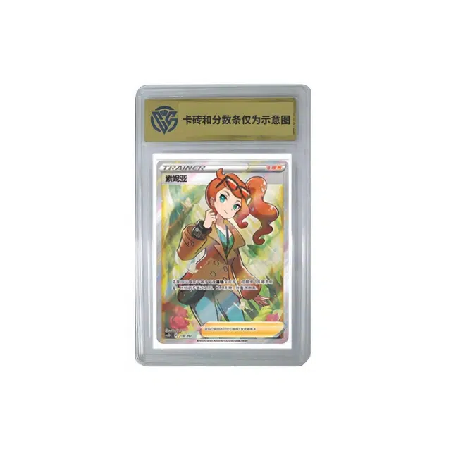 POKEMON V CS1DC 219207 SR CCG