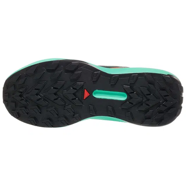 SALOMON GENESIS