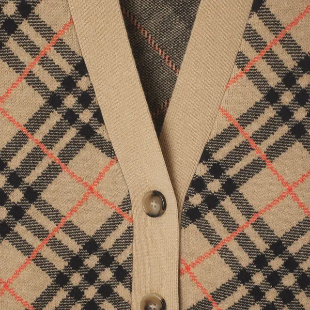 Burberry FW24 V