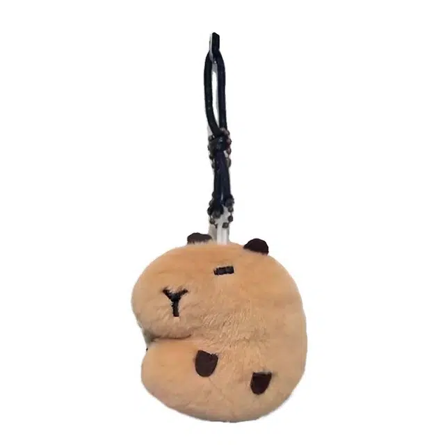 10cm