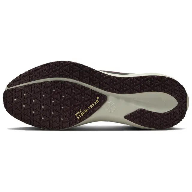 Nike Pegasus 41 GORE-TEX