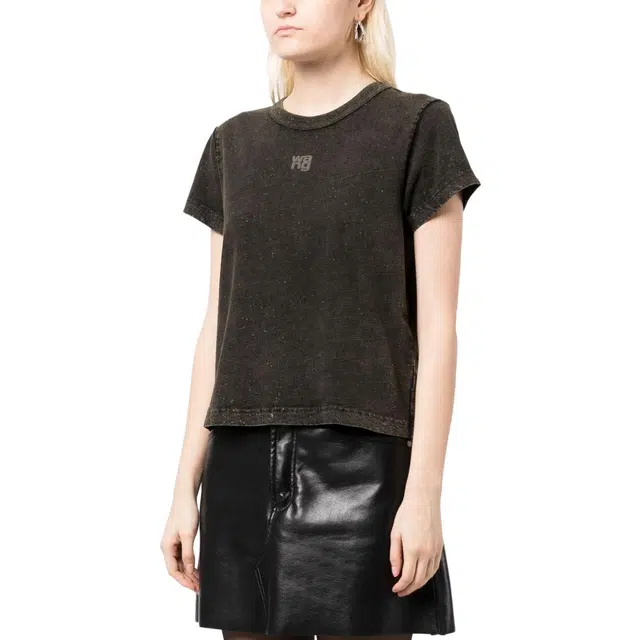 alexander wang LogoT
