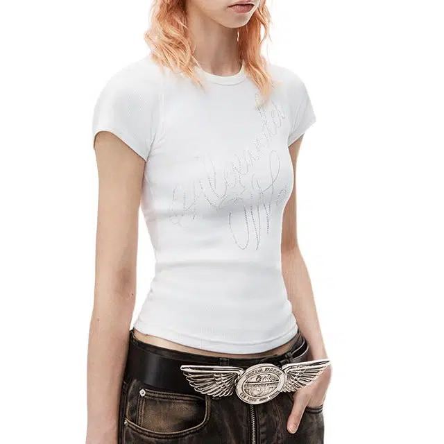 alexander wang FW24 T