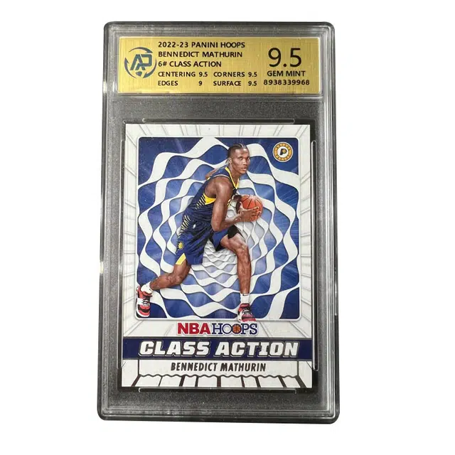 PANINI hoops 9.5