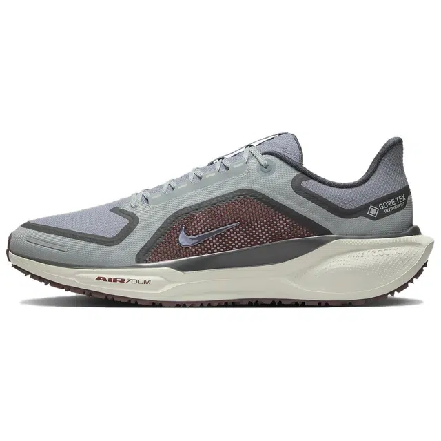 Nike Pegasus 41 GORE-TEX