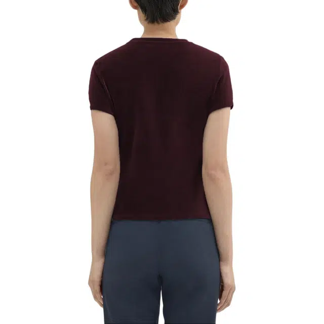 THEORY T