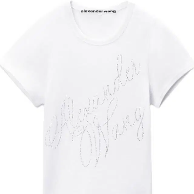 alexander wang FW24 T