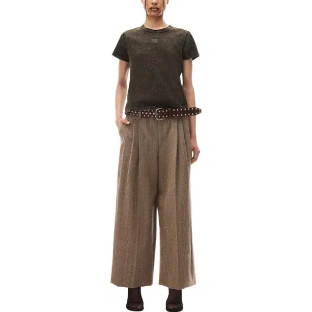 alexander wang LogoT