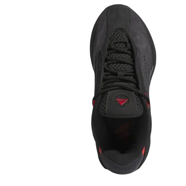 adidas originals CRAZY IIINFINITY 130